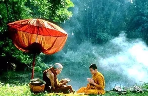 别妄想无师自通 别妄想无师自通