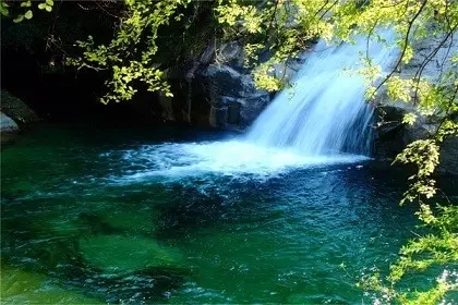 悲智双运的教育 悲智双运的教育