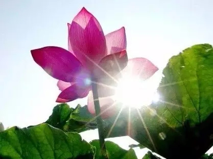 ��μ����Լ������Ż������ţ�