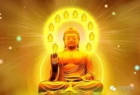 一个字浓缩佛法精华 一个字浓缩佛法精华