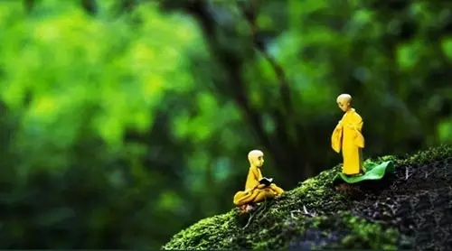 法虽平等人行异 法虽平等人行异