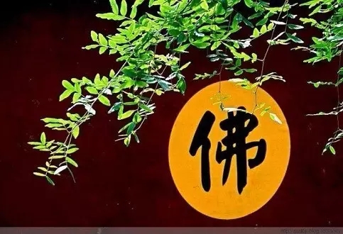 ѧϰ���ܽ��ʲô���⣿