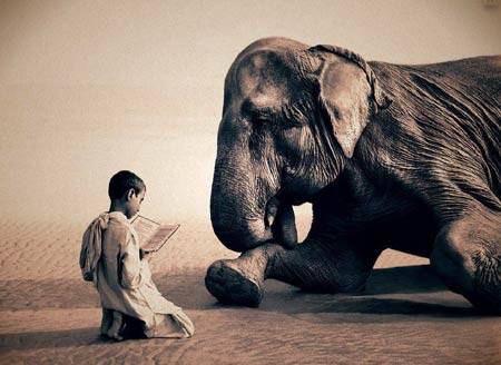 ���²�����ҵ��ɱҵ�������ת��