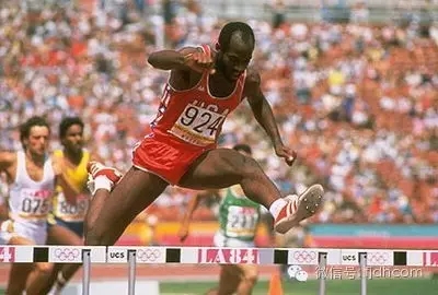 奥运夺冠_见证素食的“洪荒之力” 奥运夺冠_见证素食的“洪荒之力”