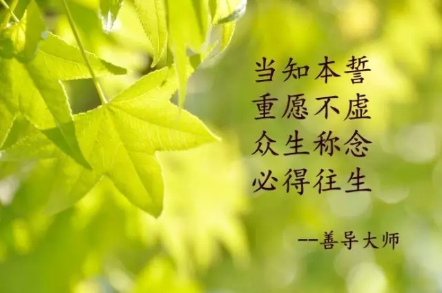 ��ǰ���������������ĸ�Ӧ����