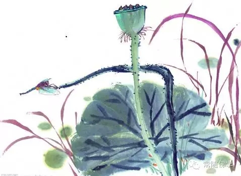 我的前世是什么? 我的前世是什么?