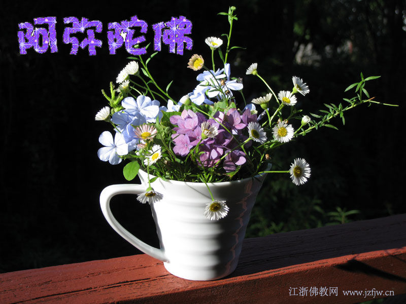 �Ի��������⹦���ж��