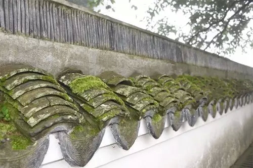 ���޵ĵ�һ��������������