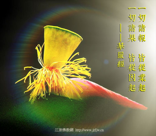 Ů�˰������ӾͰ�������ס��