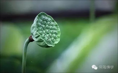 ���˶���ʮ��ķ�_�𾿾������ʲô�أ�