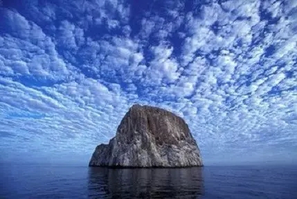 ʲô����ʵ��������