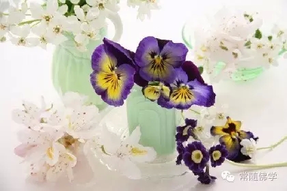 ѧ���ĵã������滤����