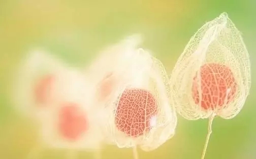 一生受苦很多_是不是前世修的不好? 一生受苦很多_是不是前世修的不好?