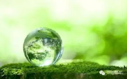 �÷��޸���ġ������ġ�