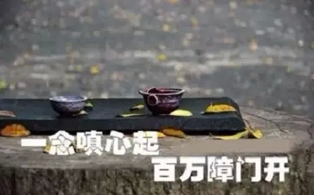 һ��_���𣬰������ſ�