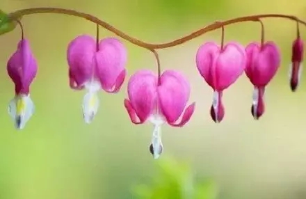 ѧ��Ҫ��ѧ����