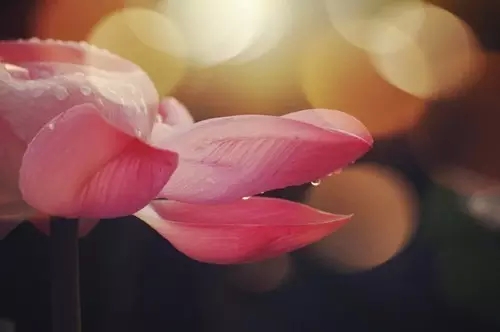 看见某人就想起他做过的事不愿接近他,该如何稳定自己? 看见某人就想起他做过的事不愿接近他,该如何稳定自己?