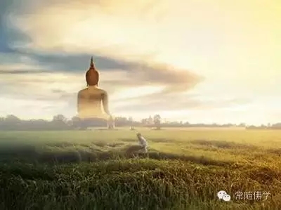 信仰不是寻找奇迹 信仰不是寻找奇迹