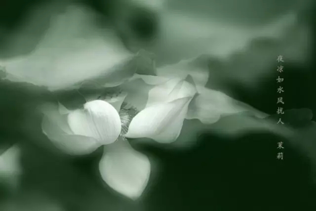 修行中遇到障碍该如何克服? 修行中遇到障碍该如何克服?