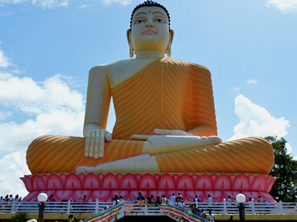 �����ʲ��У�˵˵�ŷ�ݷ�Ĺ���