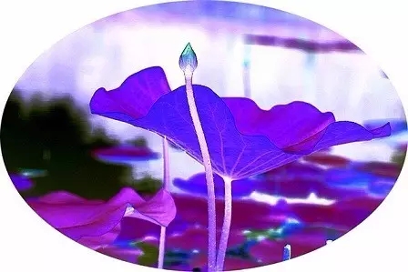 һ��֮�ת������