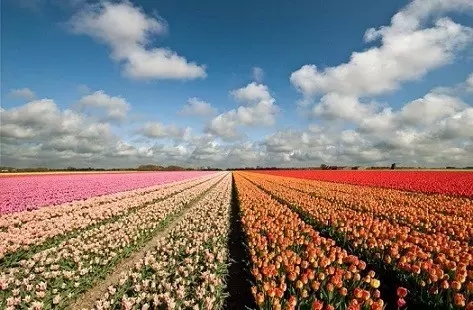 站在烦恼看幸福 站在烦恼看幸福