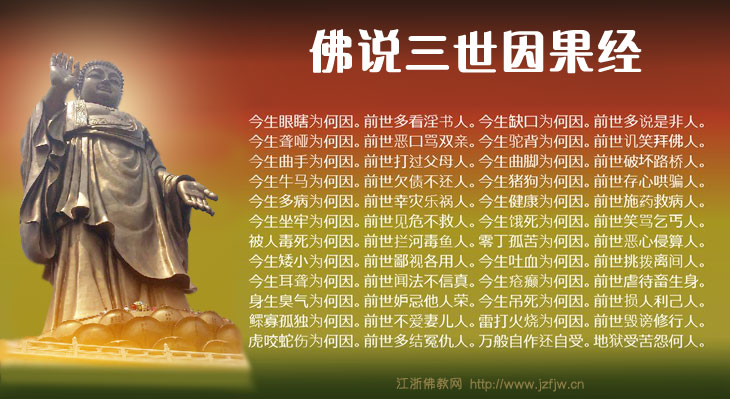 ������ӣ����۷���������