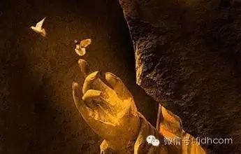 ���������ֲ�͸�����ž����ʸ�ʼ������