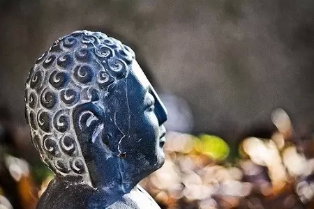 在生活中体验禅的境界 在生活中体验禅的境界