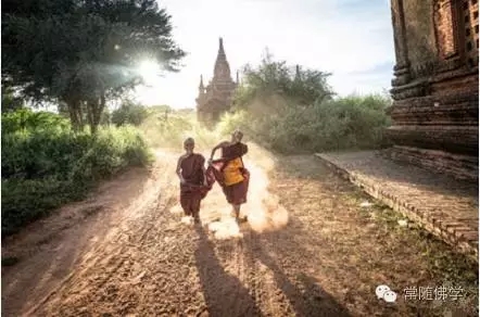 在希望与失望之间的_就是佛法 在希望与失望之间的_就是佛法