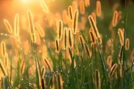 ���޾��Ƕ��������Ȿ��