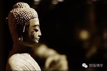 ƶ��ǹ���_���Ҳ�������Ǹ���