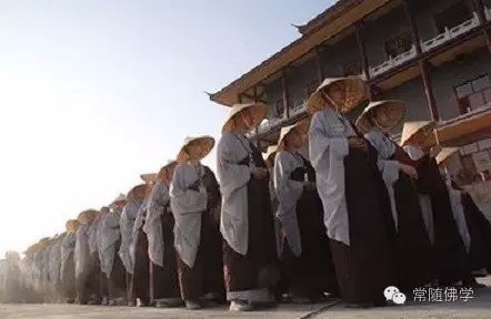 谁说报国无门?高僧告诉你如何报效祖国! 谁说报国无门?高僧告诉你如何报效祖国!