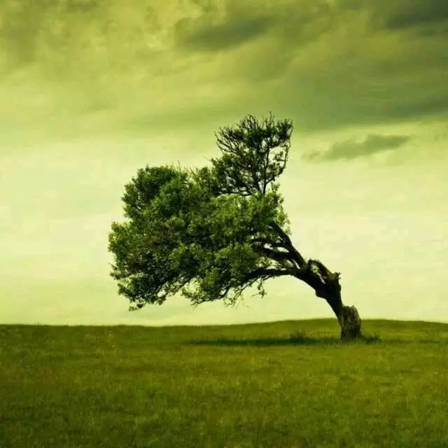 往生是当下转念头的功夫 往生是当下转念头的功夫