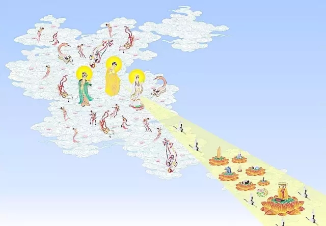 ����������ר�������������������ʵ