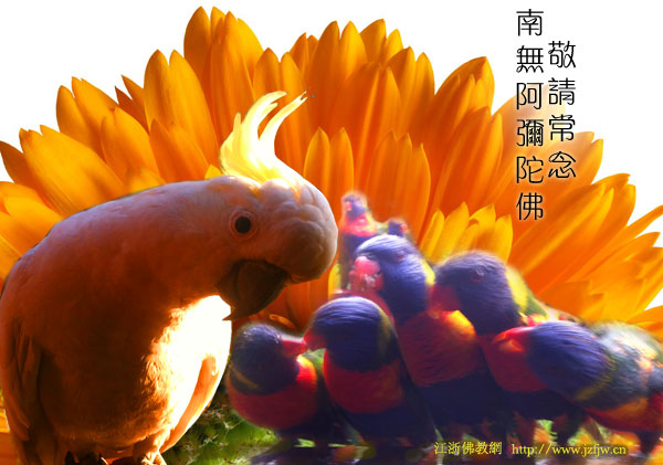 ��С��Ϊ����������һ������Ĺ��£���