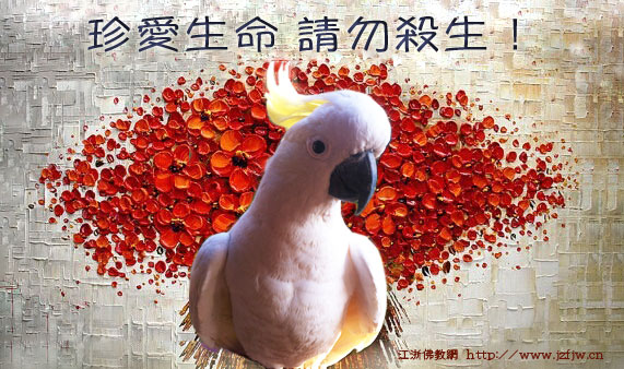 别小看为动物畜牲念一句咒语的功德!! 别小看为动物畜牲念一句咒语的功德!!