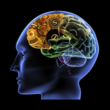 少碰9种对脑部有害的食物 少碰9种对脑部有害的食物