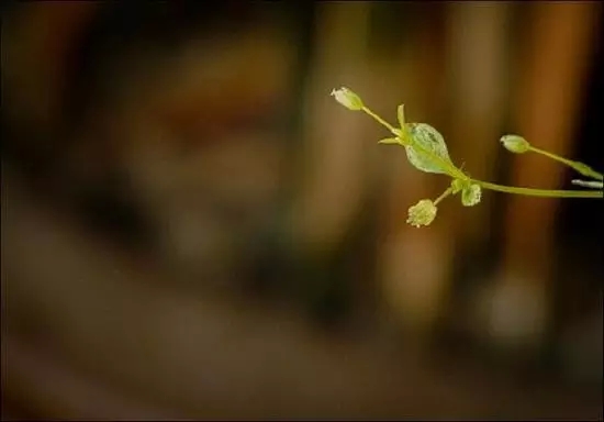 Ϊʲô����Ҫ������ӷ𡱣�