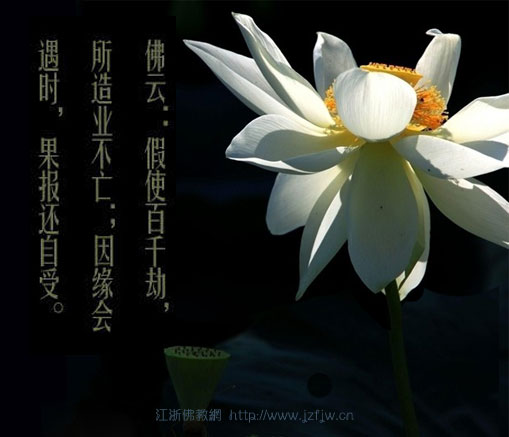 ���Ｊ��������ҵ�ܱ���һ��ת���Ĺ���