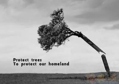 当你停止吃肉,这些奇迹就会出现....... 当你停止吃肉,这些奇迹就会出现.......