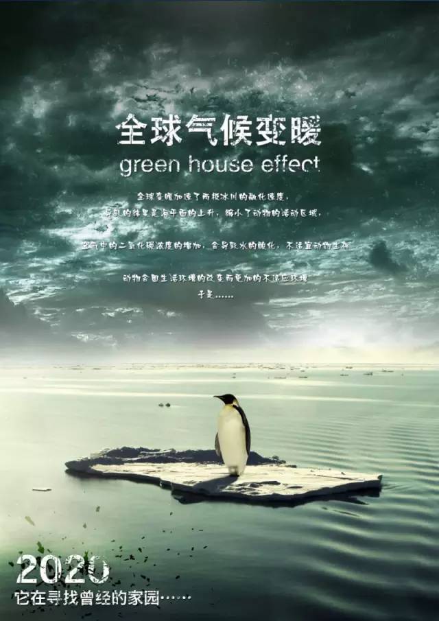 当你停止吃肉,这些奇迹就会出现....... 当你停止吃肉,这些奇迹就会出现.......