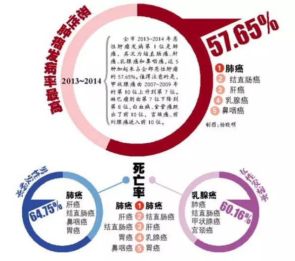 当你停止吃肉,这些奇迹就会出现....... 当你停止吃肉,这些奇迹就会出现.......