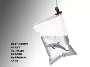 当你停止吃肉,这些奇迹就会出现....... 当你停止吃肉,这些奇迹就会出现.......