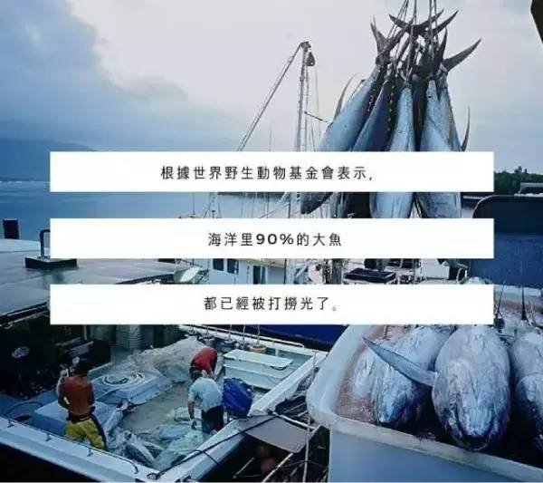 当你停止吃肉,这些奇迹就会出现....... 当你停止吃肉,这些奇迹就会出现.......