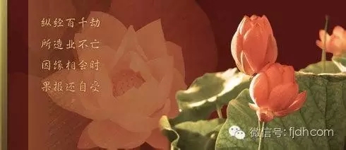 所求与所行相违,如何得善果?一定要懂得因果的奥秘 所求与所行相违,如何得善果?一定要懂得因果的奥秘