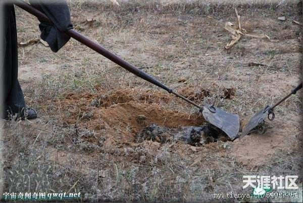 û��_������_����Ժ