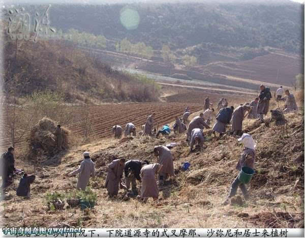 û��_������_����Ժ