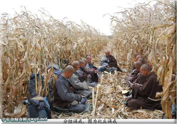 û��_������_����Ժ