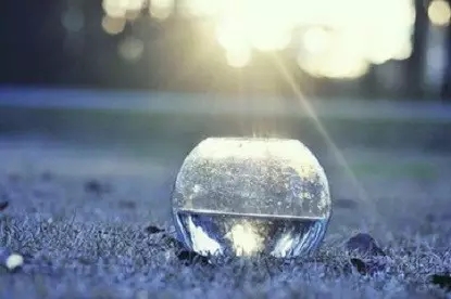 ��л��Թ����_����Ϊ����